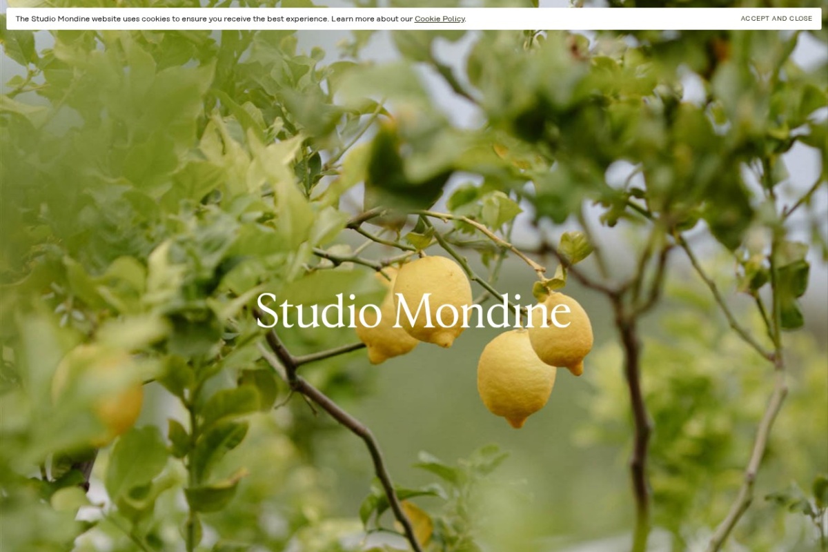 Studio Mondine